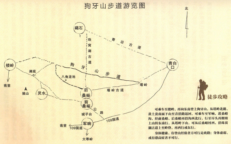 地图